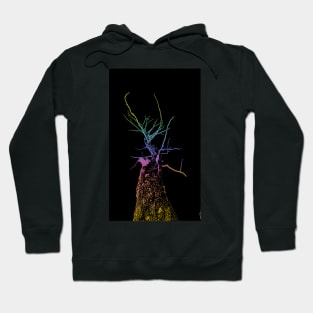 Rainbow Tree Hoodie